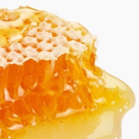 Vanilla & Honey